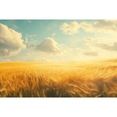 Abstract Countryside Canvas